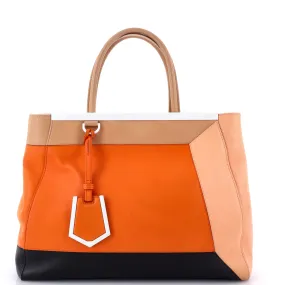 Color Block 2Jours Bag Leather Medium